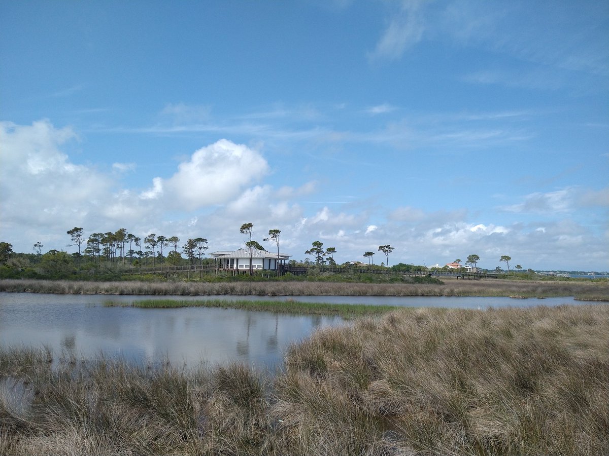 #photo #landscapes #Florida