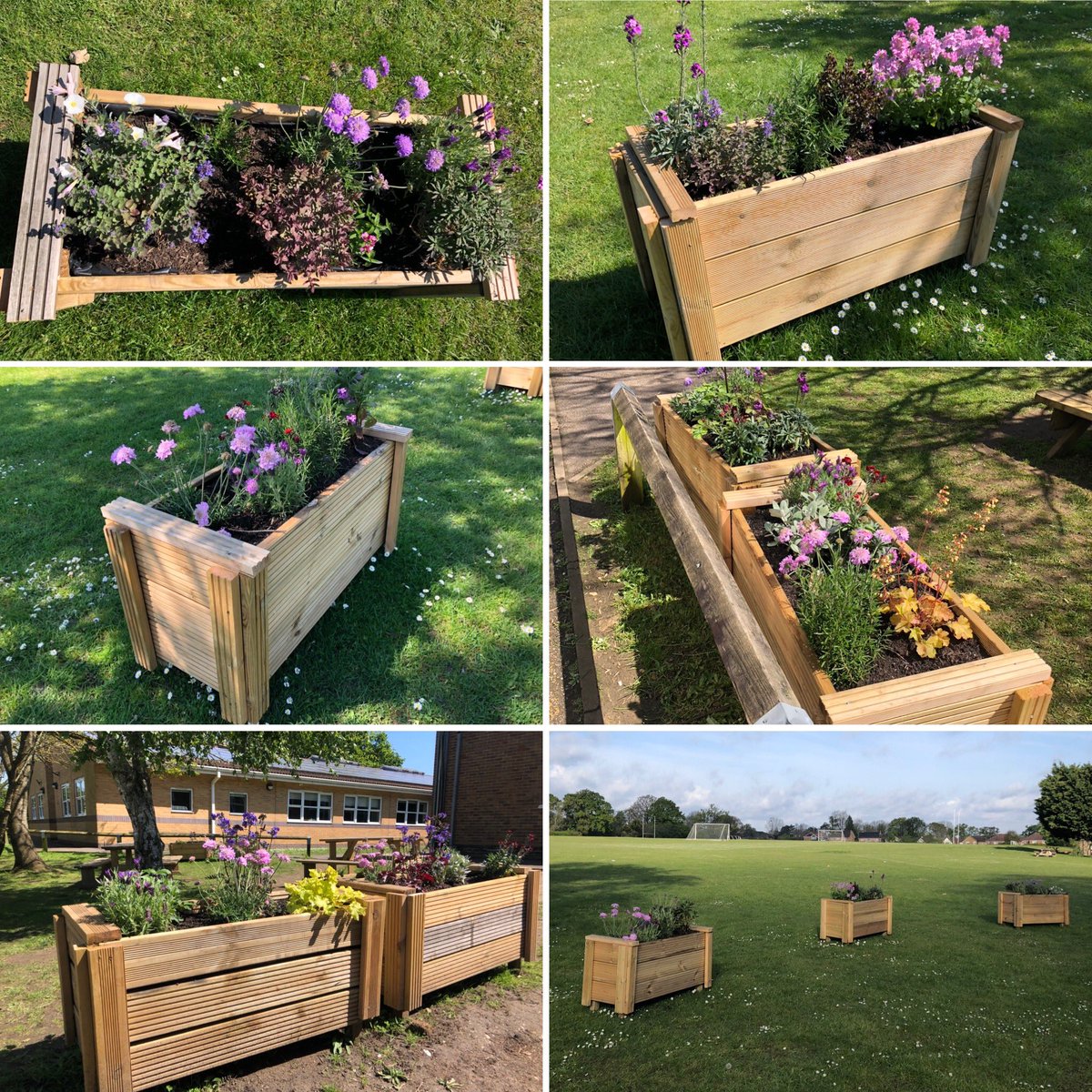 Our students have been busy building these planters, planting and watering! 🌱 🌸