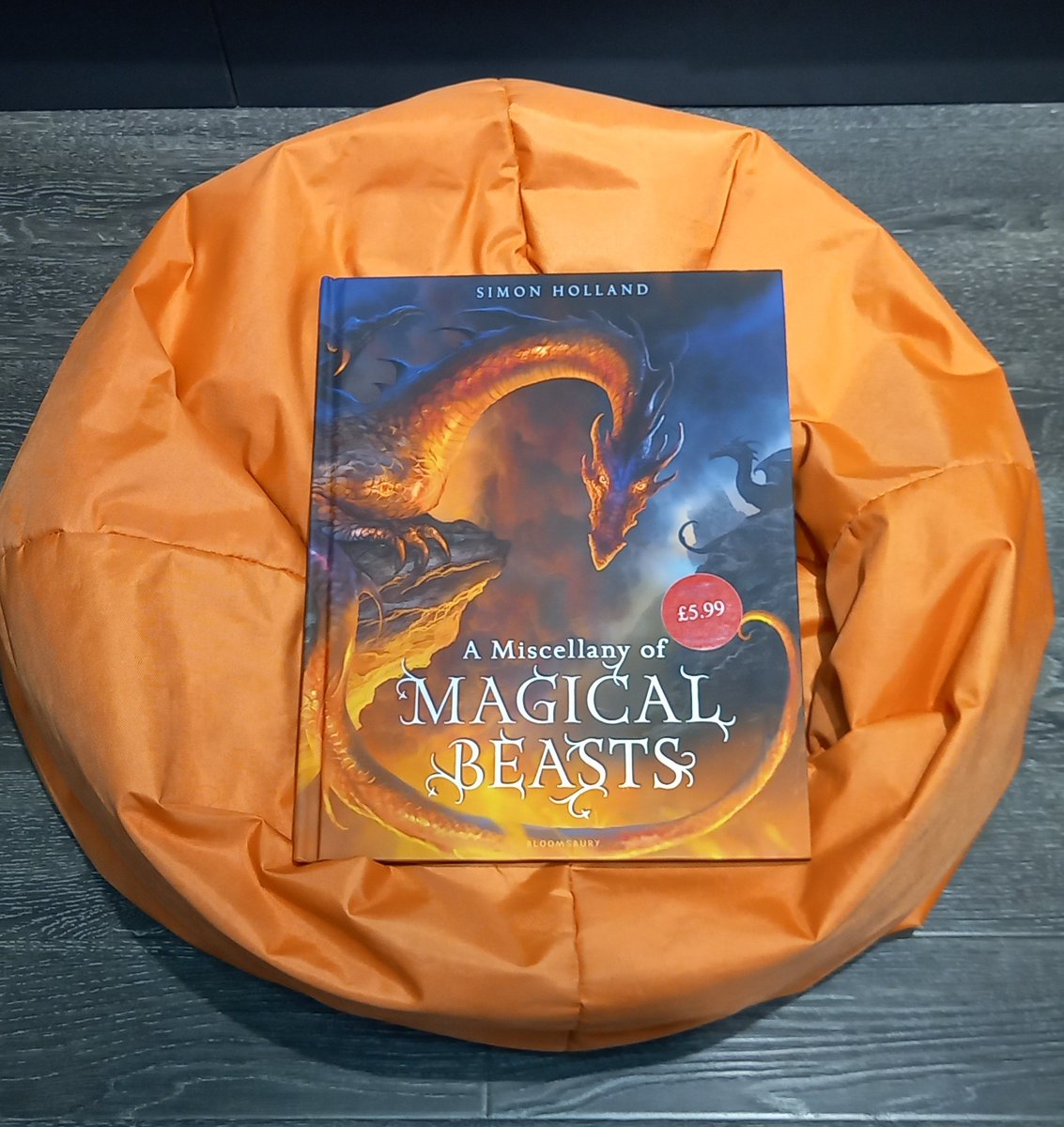 A beautifully illustrated Miscellany of Magical Beasts. Perfect for the young fantasy lover in your life! #GoldstoneBooks #indiebookshop #shoplocal #books #reading #fantasy