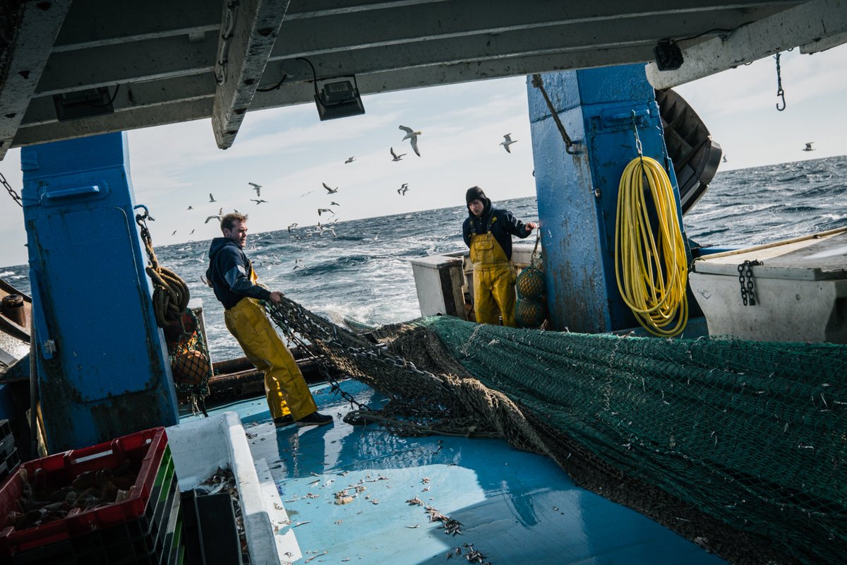 📚Discover the #GFCM catalogue of fishing gear in the #Med & #BlackSea region 🎣 To enhance understanding of #fishing #gear used, support #selectivity improvement and promote sustainable fisheries management aligned with an ecosystem approach❗️ More here: fao.org/gfcm/news/deta…