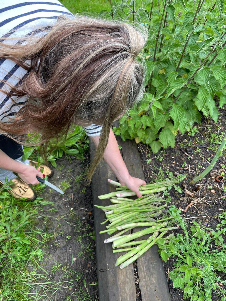 My daughter picked lots of asparagus yesterday.!!