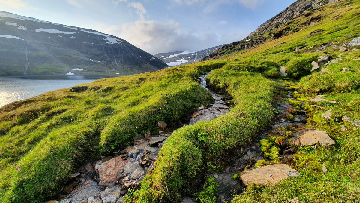 📢 Do you want to do a #PhD using #hyperspectral satellite data to observe climate influences on tundra vegetation in Sweden? With me, @RobertGBjork and @Ali_Beamish, @goteborgsuni @APEGU1. Apply by 9 June - more info here: tinyurl.com/4m7s57ua