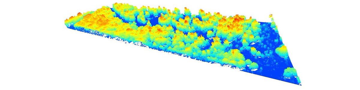 Are you interested in using LiDAR in woodland ecology? Then don't miss the upcoming free webinar on May 17th by the TreEPlaNat @natcolonisation @UK_Treescapes project team including @thi_sanna and @LDBraunholtz. Sign up here: events.teams.microsoft.com/event/ef48d392…