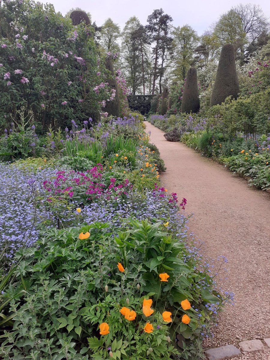 The long borders at Hidcote looking amazing yesterday. Hoping your day as going as well as possible. X #gardening #Hidcote @HidcoteNT