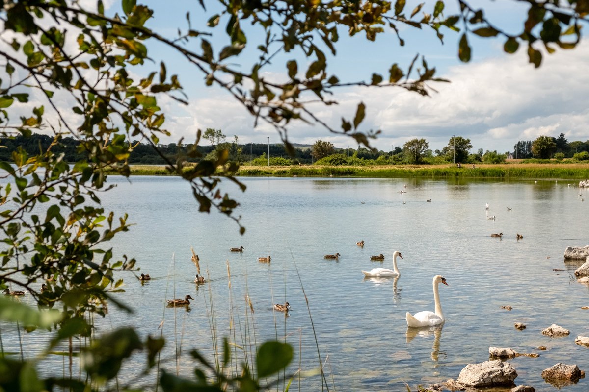 Discover Loughrea Lake, a stunning limestone lake with a Blue Flag beach & natural heritage area. Enjoy the sunshine & swim in the inland bathing area with a seasonal lifeguard service. Add it to your summer bucket list! #IrelandsHiddenHeartlands #LoughreaLake #VisitIreland