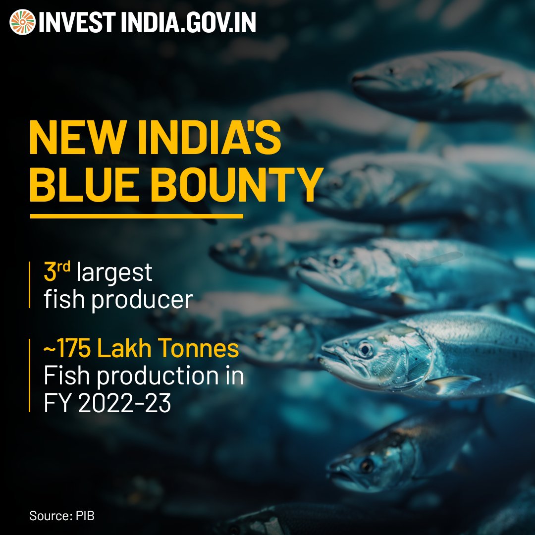 Deep dive into the sea of possibilities with #NewIndia, which exported 1735286 MT of seafood during FY 2022-23. Let's join hands to deliver quality marine products to meet the global demand.🐠 Explore India's aquatic abundance bit.ly/II-Fisheries_A… #InvestInIndia #Aquaculture