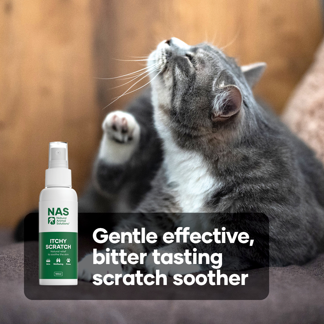 Natural Scratch relief for dogs and cats. Available in PetBarn, Petstock and most independent pet retail. We also recommend our potent NAS Gut Balance Probiotic to help address itchiness from the inside #NaturalPetCare #ScratchRelief #PetBarn #Petstock  #DogHealth #CatHealth