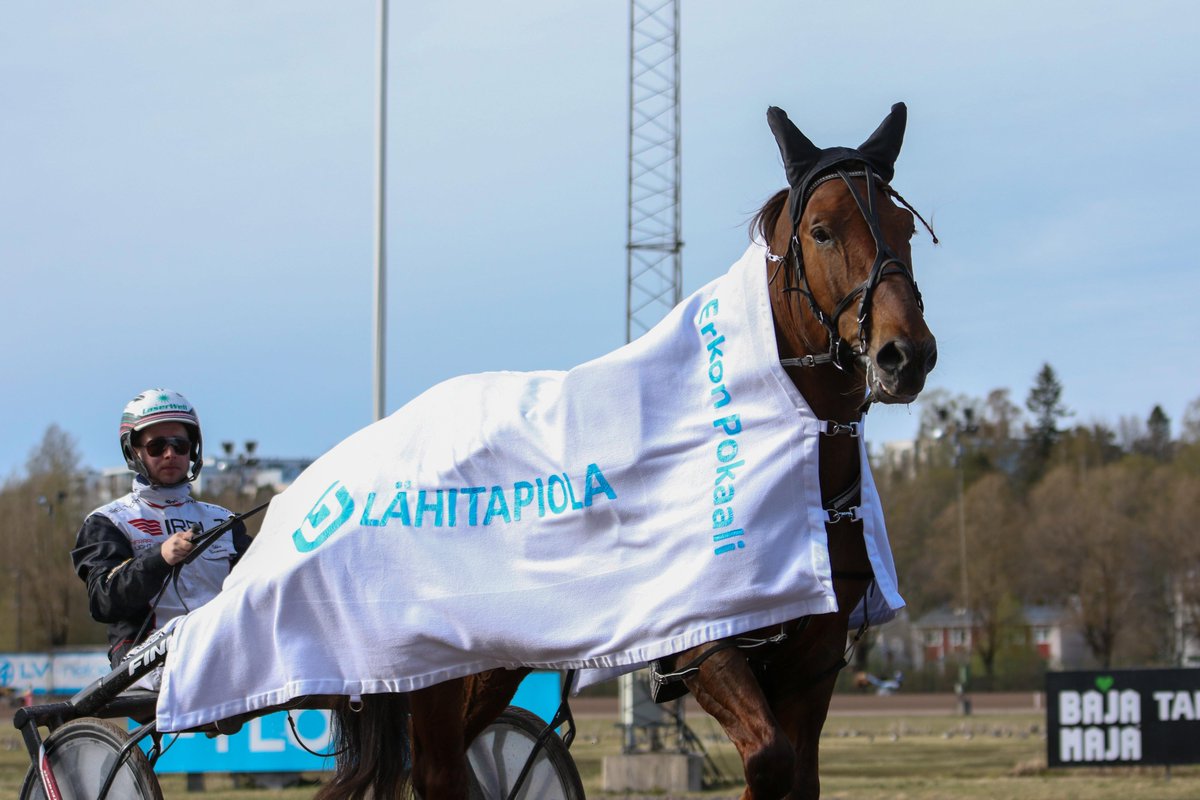 Kultajousi Finlandia-Ajo huipensi viikonlopun. Onnittelut kaikille sunnuntain Vermon valloittajille 🏆 Stoletheshow oli jälleen Finlandia-Ajon paras Magnus Djusen ajamana ja on kilpailun kolmas tuplavoittaja Napoletanon ja Giesolo de Loun jälkeen: vermo.fi/fi-fi/article/… #ravit