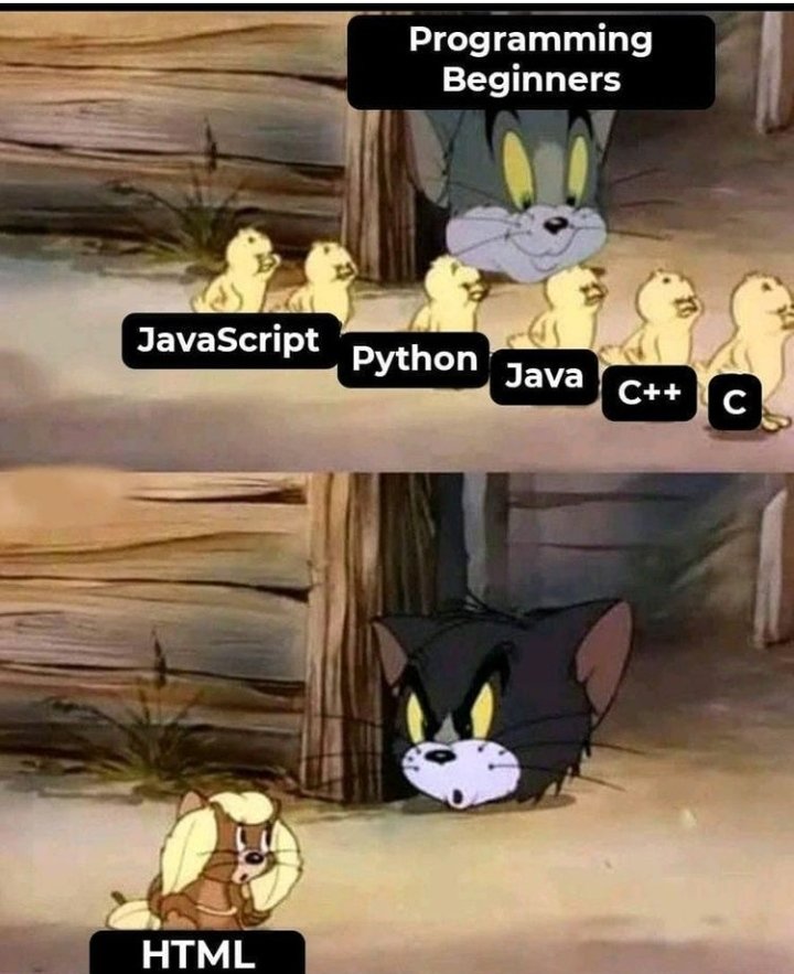 All programming languages