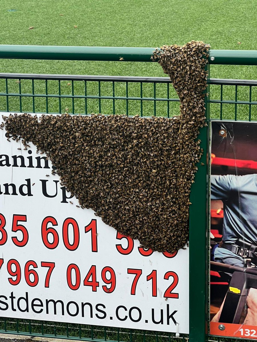 KEEPER WANTED! 

Not the type you’d think either. We are on the look out for a new, full time bee keeper 🐝

No cash payment but you can keep all the honey 🍯 

#UpTheTown