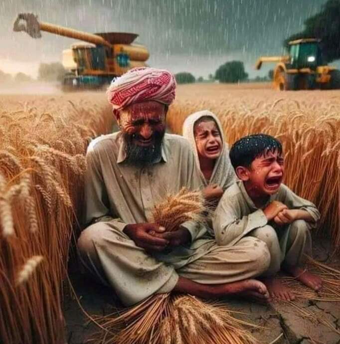 غیر ملکی گندم خریدنے کی انکوائری پر کسانوں کےساتھ کھیل کھیلا جارہا ہے اور پنجاب حکومت اسی آڑ میں جان بوجھ کر کسانوں سے گندم نہی خرید رہی۔ جبکہ پاسکو، سندھ اور کے پی کے کسانوں سے گندم خرید رہا ہے اور پنجاب کے وزیر کو گندم میں نمی نظر آ رہی ہے انہوں نے سب کو بیوقوف سمجھ رکھا ہے۔…
