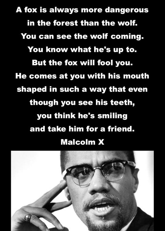 @BladeoftheS At least she is obvious, in MalcomX famous analogy, she is the wolf.
The wolf you see coming, but the fox is the faux opposition that you think is on your side.
But they work for the establishment just the same.
@mrjamesob @susannareid100 @carolvorders