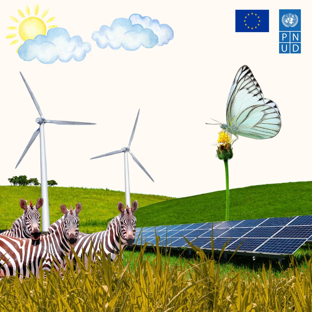🌻@UNDP & the EU 🇪🇺 are committed to supporting 🇰🇭 Cambodia’ s efforts to accelerate the national #ClimateAction agenda. Through our joint initiative 🇰🇭🇺🇳🇪🇺🇸🇪, we have provided more than 20 grants to foster #InnovativeSolutions to promote #CleanEnergy & address #ClimateChange.