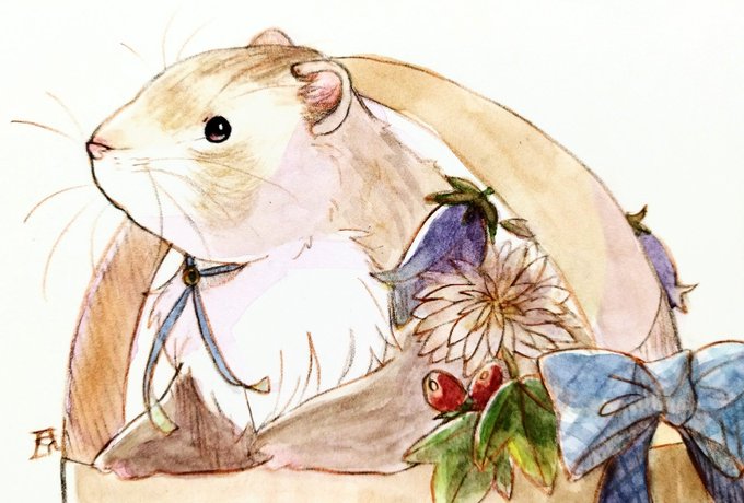 「fruit rabbit」 illustration images(Latest)