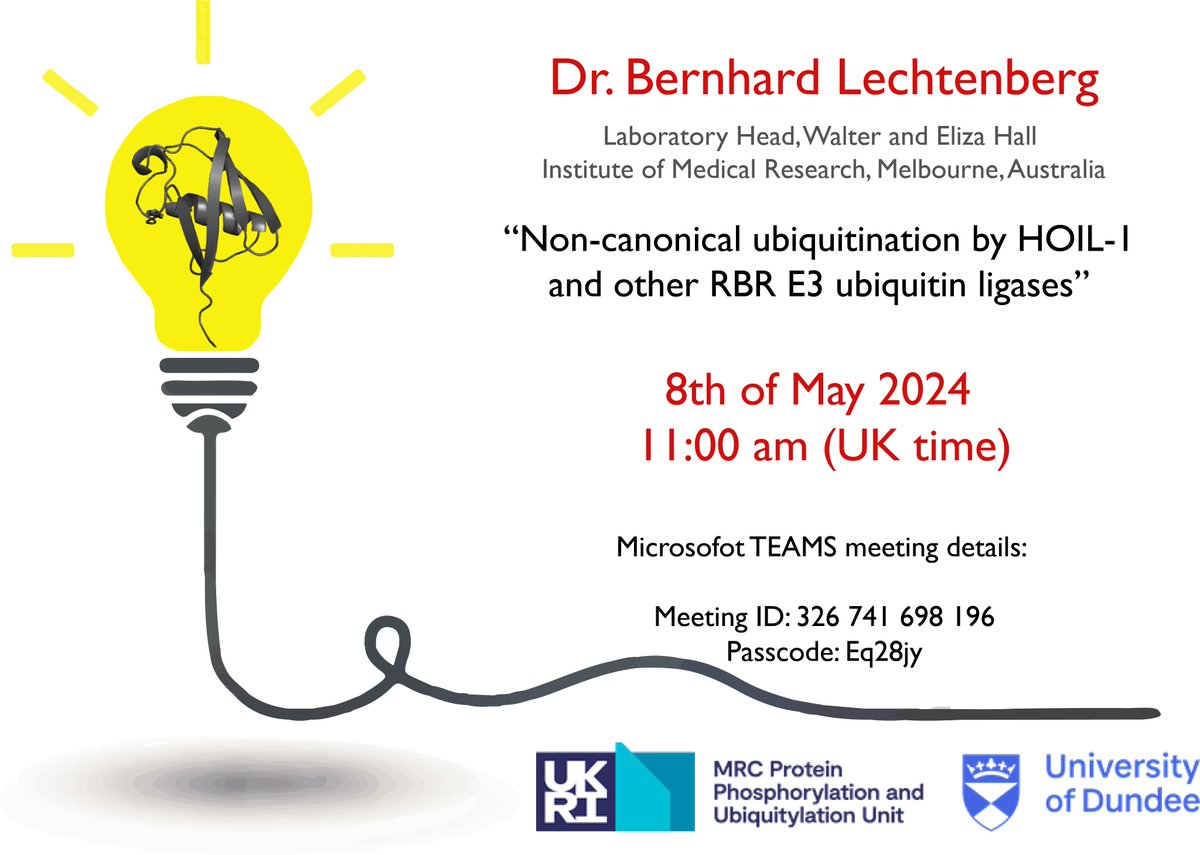 🔬 Excited for tomorrow's talk from <a href="/LechtenbergLab/">LechtenbergLab</a> on the non-canonical E3 ligase, HOIL-1! Join us May 8, 2024, at 11 AM UK time. Don’t miss out—details in the description! #ScienceTalk #HOIL1 #Ubiquitin #research