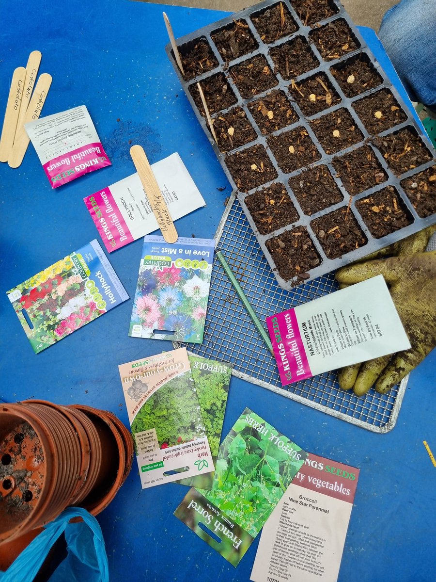 We've been sowing edible perennial seeds this morning @BalsallHeathCF. Once the plants have grown we'll be planting them out in #ReasideForestGarden and across #BalsallHeath with our #PostcodeGardener.