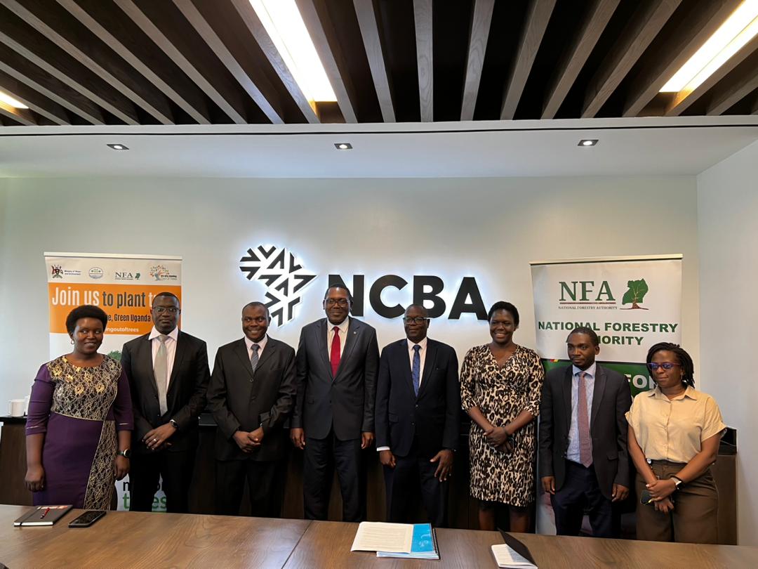 NFA and NCBA Bank partner to restore forest cover The National Forestry Authority @NFAUG and @NCBAUganda Bank have signed a memorandum of understanding to restore 30 hectares in Jubiya Central Forest Reserve, Masaka district. #Forestchat @Treechat Thread ⬇️
