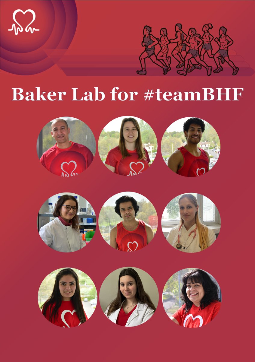 Baker Lab (@bakergroupcvs) on Twitter photo Introducing the amazing members of our team who are taking part in the #EdinburghMarathon festival to raise money for <a href="/TheBHF/">British Heart Foundation</a> 🏃♀️🫀
If you would like to support our team and <a href="/TheBHF/">British Heart Foundation</a> you can make a donation through the link below🌟👇
justgiving.com/team/thepacema…
#teamBHF <a href="/EdinUniCVS/">EdinUniCVS</a> Introducing the amazing members of our team who are taking part in the #EdinburghMarathon festival to raise money for <a href="/TheBHF/">British Heart Foundation</a> 🏃♀️🫀
If you would like to support our team and <a href="/TheBHF/">British Heart Foundation</a> you can make a donation through the link below🌟👇
justgiving.com/team/thepacema…
#teamBHF <a href="/EdinUniCVS/">EdinUniCVS</a>