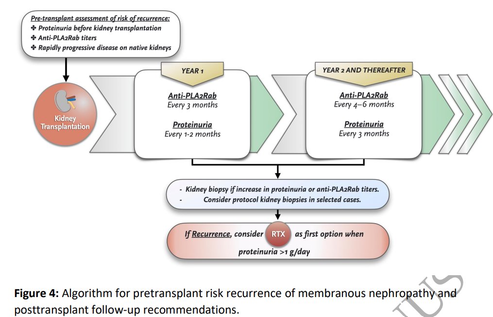 🤩NEW series in CKJ: Ten tips on how to.... 👌First one out: Ten Tips on immunosuppression in primary membranous nephropathy 🔓doi.org/10.1093/ckj/sf…