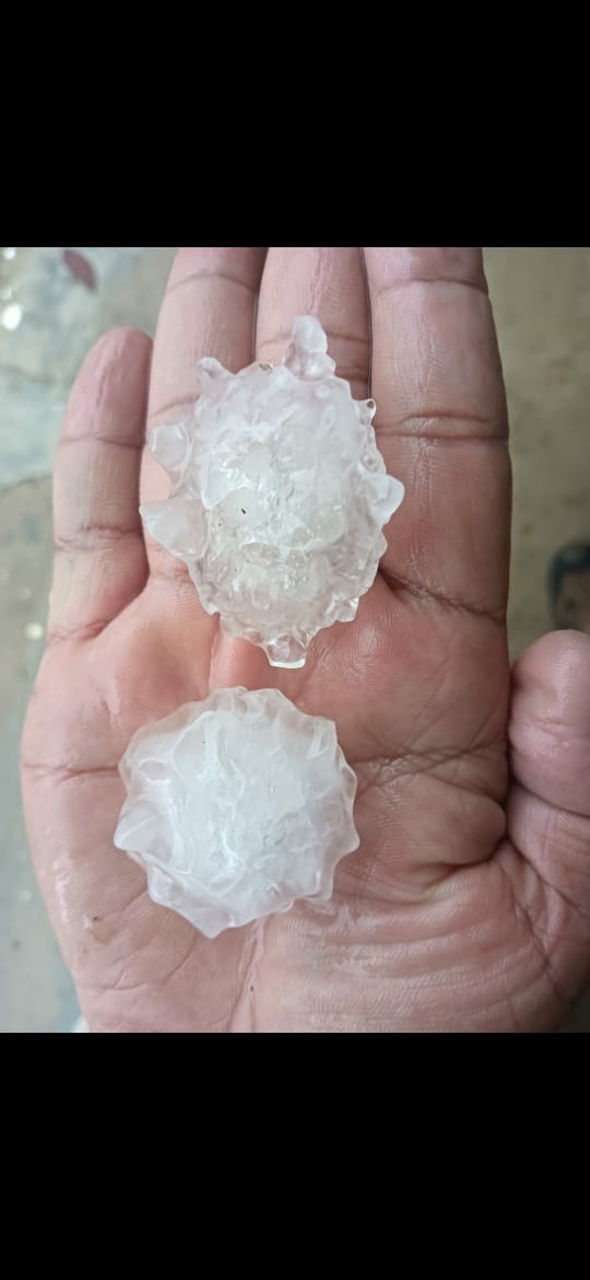 .@IMDWeather @metcentre_bng shares images of the size of hail stones that fell along with heavy thunder shower in Chikmagalur from 2.38-320PM @NewIndianXpress @XpressBengaluru @KannadaPrabha @santwana99 @Cloudnirad @KarnatakaSNDMC @NammaBengaluroo @NammaKarnataka_ @SEOC_Karnataka
