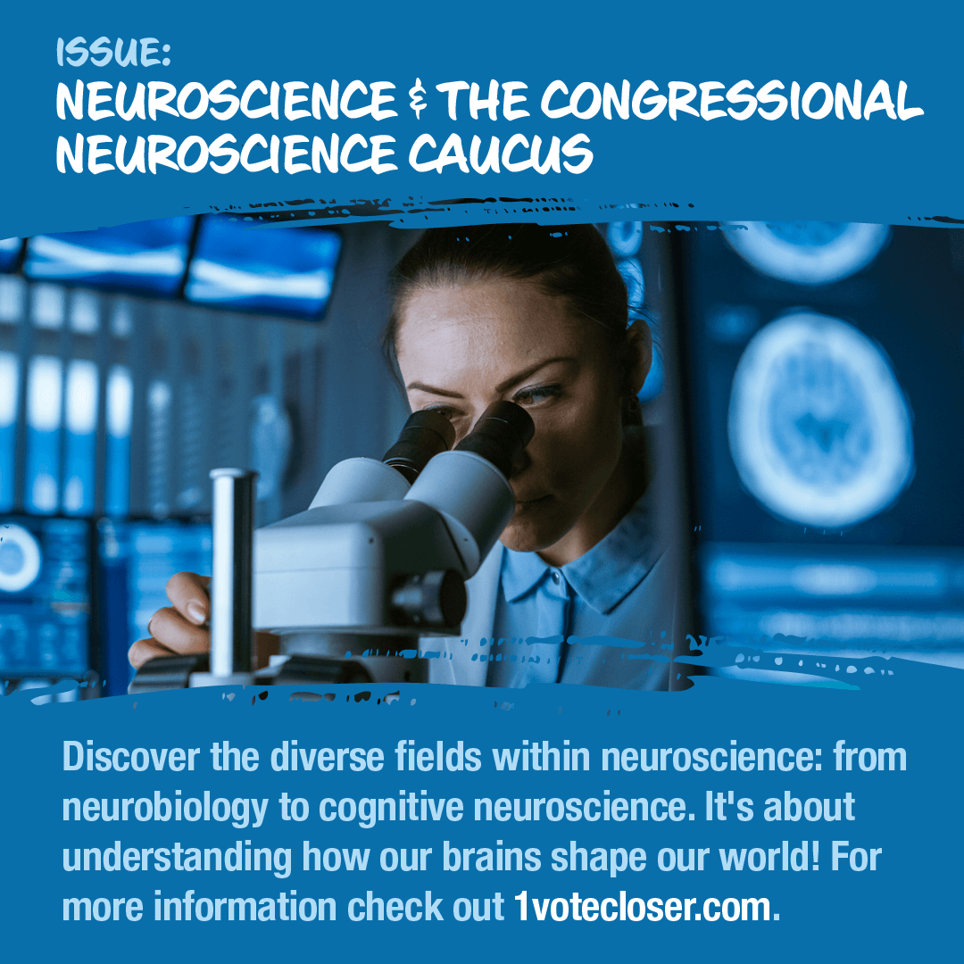 🌐 Discover the diverse fields within neuroscience: from neurobiology to cognitive neuroscience. It's about understanding how our brains shape our world! #1votecloser #NeuroscienceDisciplines #BrainAwareness