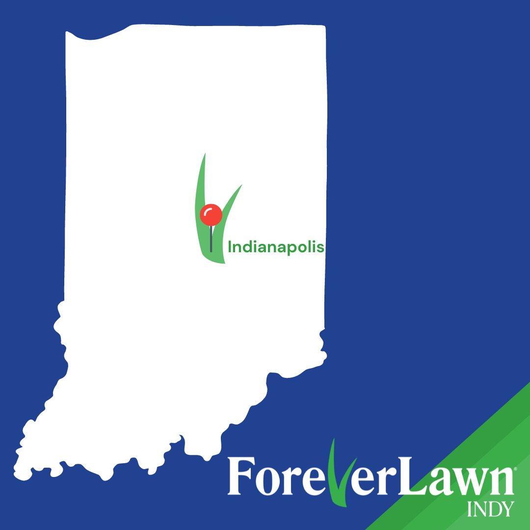 Big news!! 🎉 We're thrilled to announce the launch of ForeverLawn Indy, serving Marion County, IN! Stay tuned for updates as we gear up to bring the best in turf to Indianapolis and be sure to give the FL Indy account a follow! 🌱

 #ForeverLawnIndy #GrandOpening