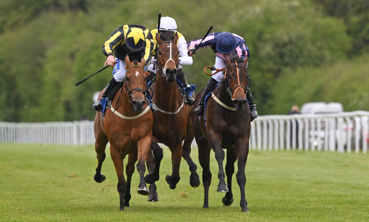 Photos from Salisbury on Sunday can now be viewed on my website: francescaaltoft.co.uk/salisbury-5th-… Congratulations to winning connections!