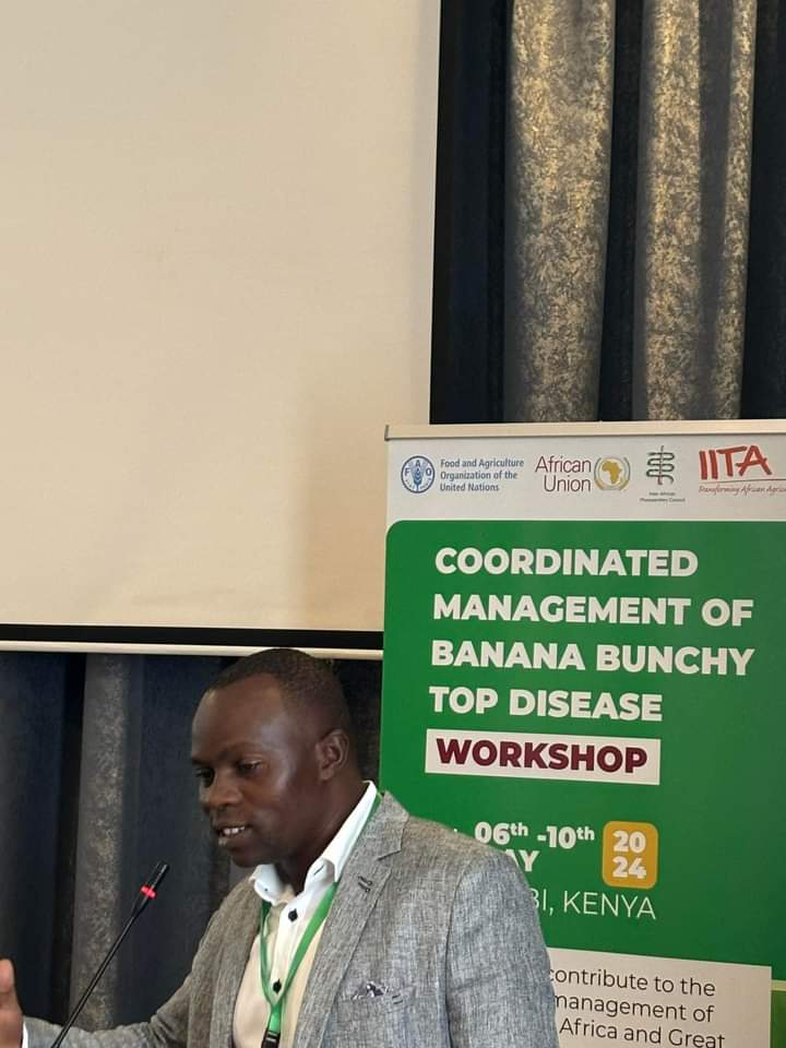 On coordinated efforts to combat BBTV in East Africa @FAOclimate @ippcnews @KephisKe @iapsc2