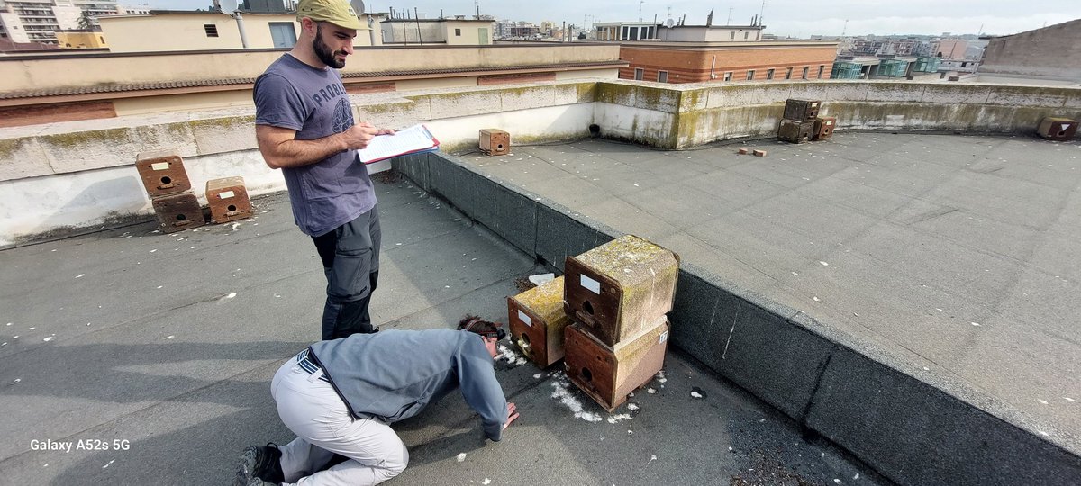 @lifefalkon tweet media