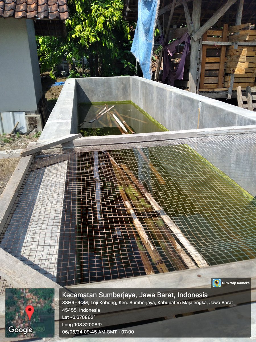 taufiq_boele's tweet image. Senin (06/05), Taufiq Rizal P, Luhkan Kab.Majalengka, Kunjungan Pokdakan Ki Ireng, Lojikobong-Sumberjaya.
#GiatLuhkanSatminkalBogor 
#Majalengka 
#Kunjungan 
@bppsdm_kp 
@bppsdm_puslatkp 
@brpbatpp_bogor