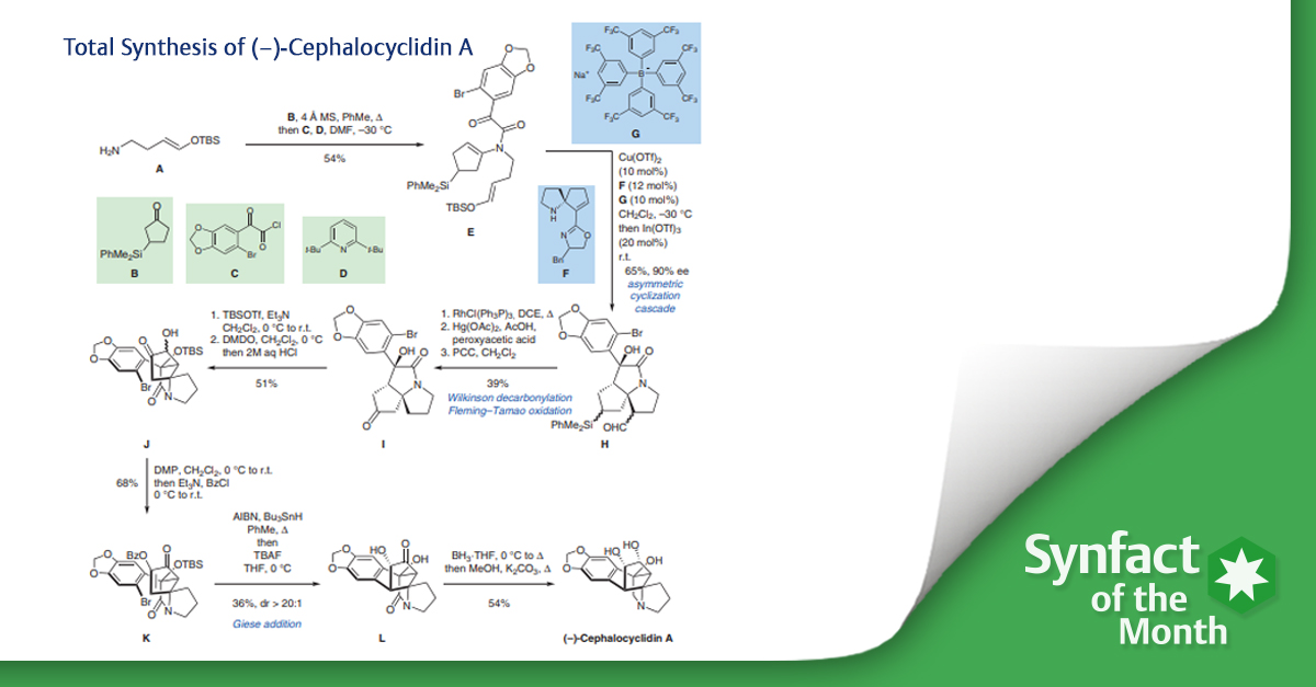 ❇️ In this Synfact of the Month the @CarreiraGroup from @ETH highlighted the ‘Total Synthesis of (–)-Cephalocyclidin A’ by Zhang F.-M, Tu Y.-Q and co-workers from @iLZU1909 and @sjtu1896 🧐 👉brnw.ch/21wJxqW