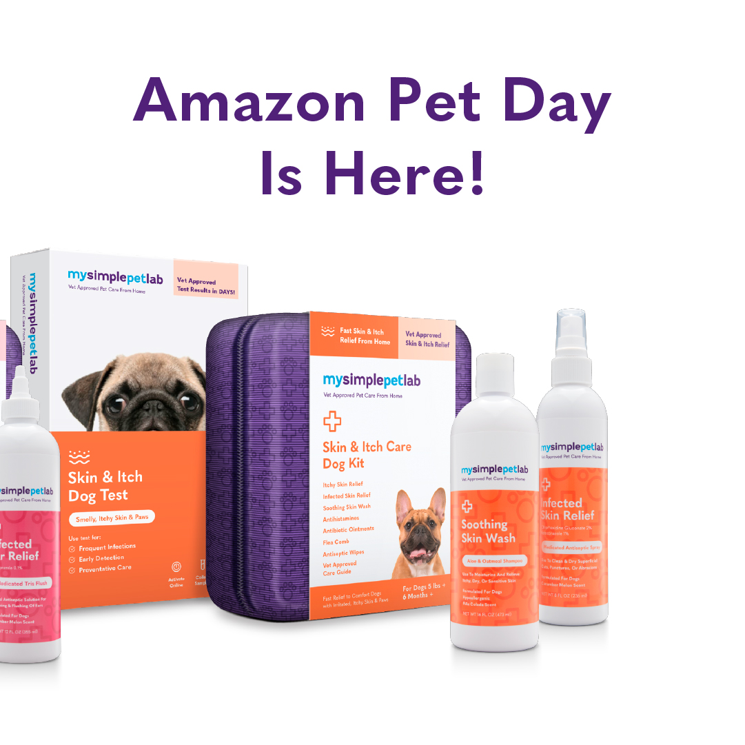 🎉 Celebrate Amazon Pet Day with MySimplePetLab! 🐾 Enjoy 20% off on all our pet care products! From soothing shampoo to test and care kits, we've got everything your pet needs. Don't miss out on these savings! 🐶🐱 #AmazonPetDay #PetCare #MySimplePetLab