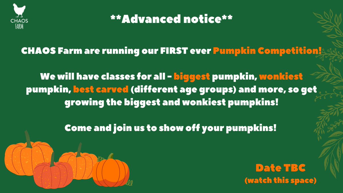 🌟 Join us for @ChaosFarmUK's FIRST Pumpkin Competition this October! Grow your pumpkins and prepare for a 'gourd-geous' display of creativity. Get growing and stay tuned for updates on the date! 🎃 #KeepitCHAOS #PumpkinCompetition