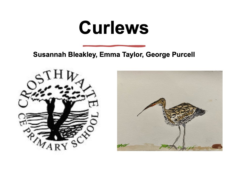 Just visited @CrosthwaiteSch for a whole school assembly about #curlews. 🐦 What fabulous kids! They already knew loads and asked fantastic questions -thank you for having us! 🙌 #120NewCurlewLovers #lookingforwardtotheartwork #farming #farmingfamilies