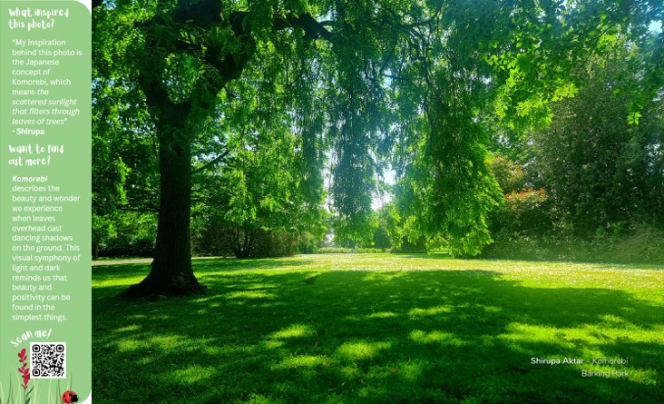 May is here & it feels like Summer's on the way!☀️ You might even enjoy some 'Komorebi' (sunlight scattered through trees) as shown in this month's #WildFreeLBBD calendar photo taken by Shirupa Akter in Barking Park. 📷More info: happiful.com/what-is-komore… 🌳☀️ #NaturePhotography