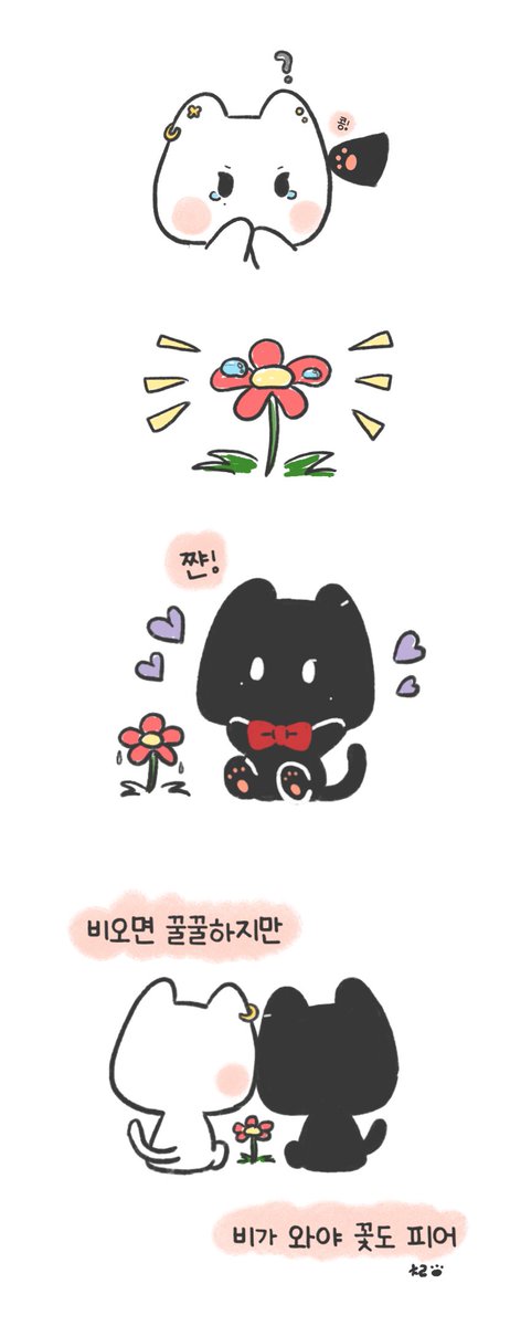 비가 와야 꽃도 피어 🐈‍⬛🐈
(클릭해서 봐주세요 💕)