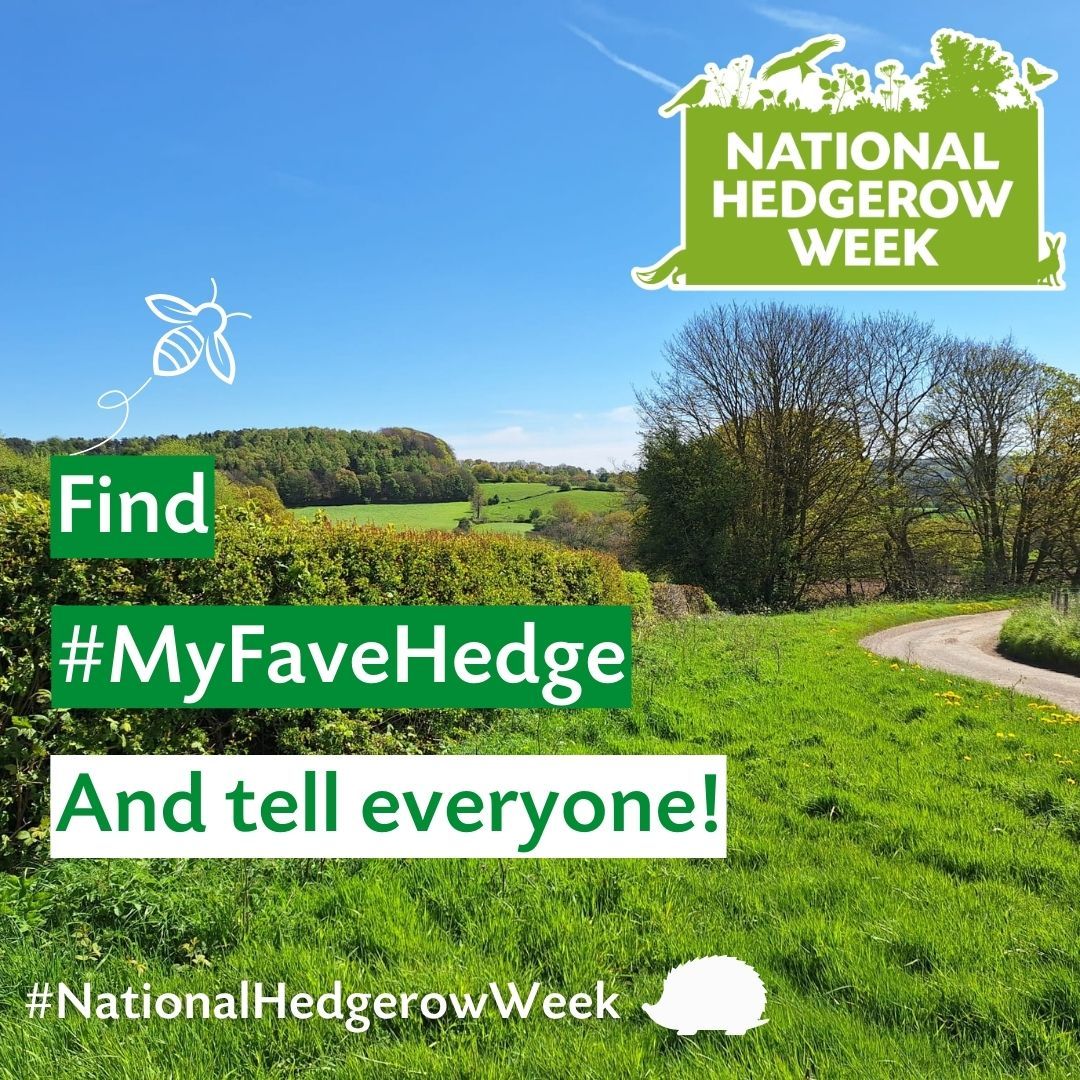 Found a favourite hedge? It could be a magnificent, ancient, perfectly laid, tall, long and broad rural specimen or that cherished hedge that brightens up the car park at the nearby shops. Take a pic and tag using #MyFaveHedge. We’ll share the best! #NationalHedgerowWeek