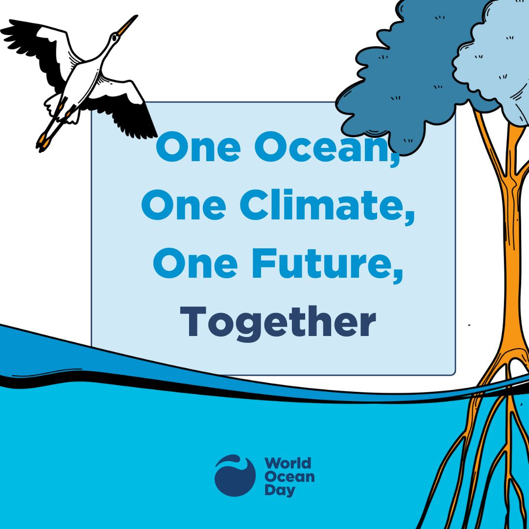 SNEAK PEEK!

Shhh, here's a preview of what's to come for the official World Ocean Day social media toolkit.

Take tuned and follow @worldoceansday for the link, released May 20th.

Looking for event toolkits, posters, and more? Head over to buff.ly/3Nzx0vp