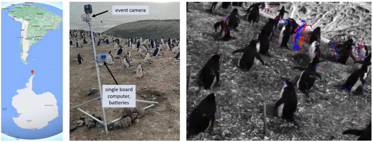 Friedhelm Hamann (@friedhelm_h) on Twitter photo Our paper “Low-power, Continuous Remote Behavioral Localization with Event Cameras” is accepted at #CVPR2024.
Page: tub-rip.github.io/eventpenguins/
Thanks to our collaborators from <a href="/UniofOxford/">University of Oxford</a>: Alex Kacelnik, Tom Hart, <a href="/PenguiNacho/">Ignacio (Nacho) Juárez</a>, and to <a href="/guillermogb/">Guillermo Gallego</a>, <a href="/suman_ghosh/">Suman Ghosh</a>. Our paper “Low-power, Continuous Remote Behavioral Localization with Event Cameras” is accepted at #CVPR2024.
Page: tub-rip.github.io/eventpenguins/
Thanks to our collaborators from <a href="/UniofOxford/">University of Oxford</a>: Alex Kacelnik, Tom Hart, <a href="/PenguiNacho/">Ignacio (Nacho) Juárez</a>, and to <a href="/guillermogb/">Guillermo Gallego</a>, <a href="/suman_ghosh/">Suman Ghosh</a>.