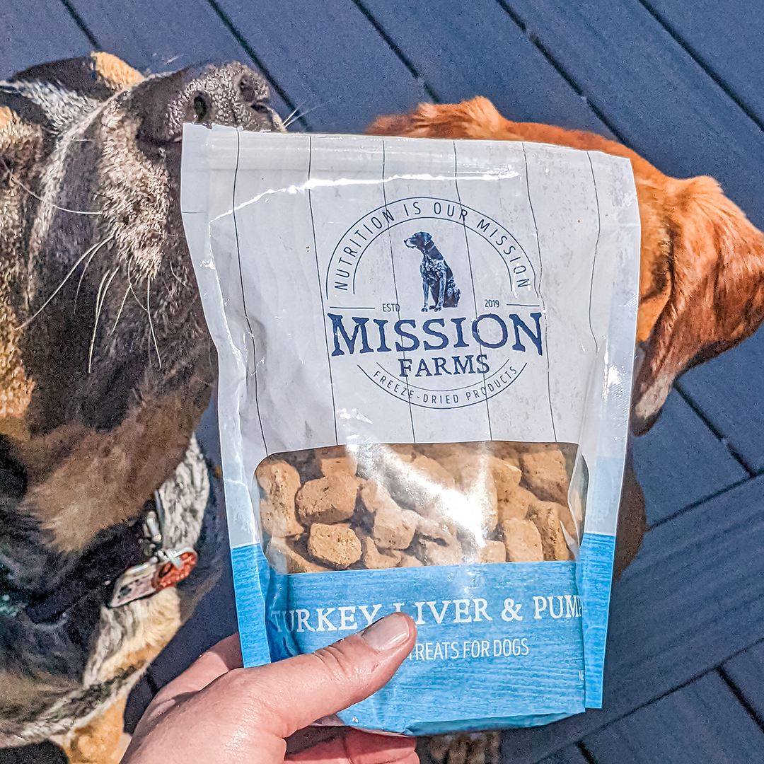 Is that turkey liver? Oh, ya, we can smell 'em! Gimme, gimme!  Thanks @winston_the_aussie_coonhound 

#HappyDog #dogfood #petsarefamily #rawfed #HappyPet #RawFeeding #rawdogfood #healthypets #healthydogfood #petnutrition #balanceddiet #dognutrition #rawpetfood #freezedriedraw