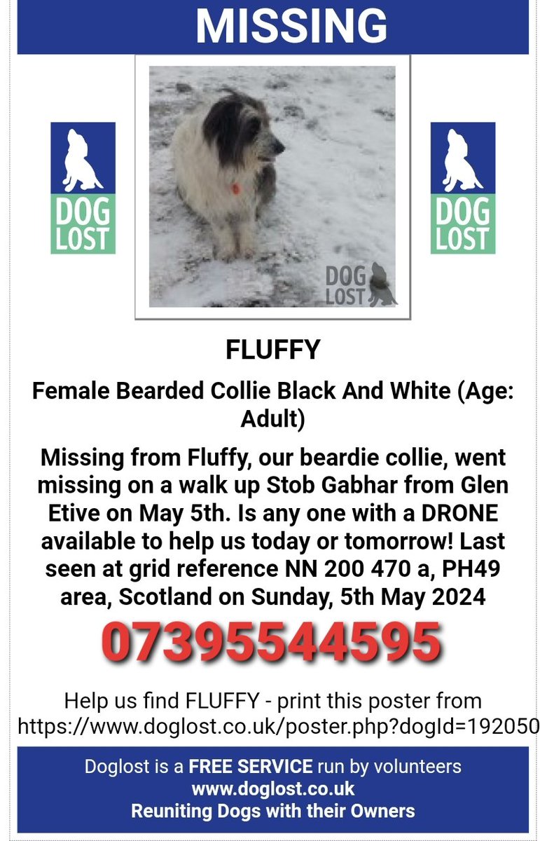 🐕 FLUFFY beardie collie, went #missing on a walk in Stob Gabhar from Glen Etive #Scotland #PH49 5 May 2024 She has a thick, strong army type of collar with contact details on the tag & a light led attached to it. On the tag is the name Zora, her sister doglost.co.uk/dog-blog.php?d…