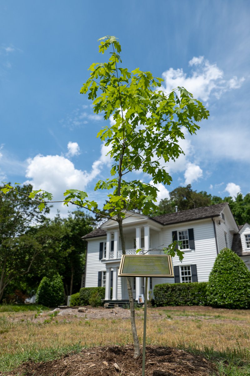 Live Well Wake tweet media