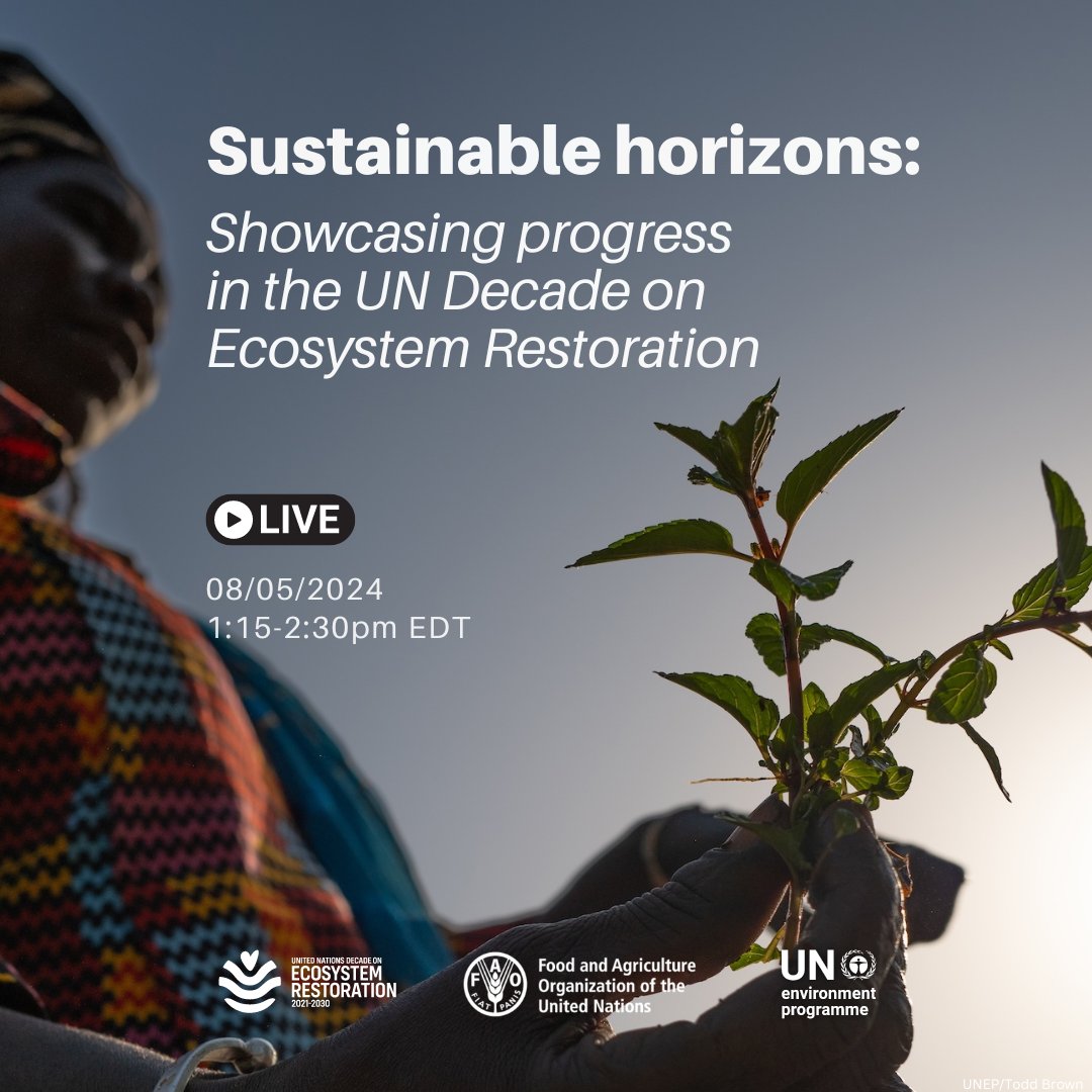 Explore how #GenerationRestoration is shaping a sustainable future and addressing the planet’s most urgent challenges at this UNEP/@FAO event at the #UNforests forum. Join live: fao.org/collaborative-…