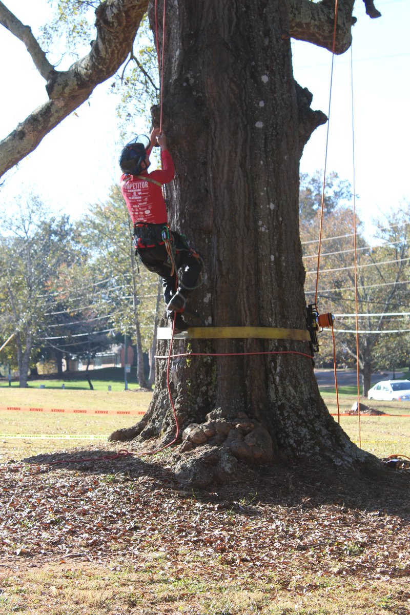 Today is National Tourism Day. Ever climb when you're on vacation? Join GAA for a TreeStuff Recreational Climb Party, May 18 in Winterville. Come for a fun day of networking & recreational climbing, sponsored by Treestuff.com. georgiaarborist.org/events/gaa-soc… #GAA #TreeStuff