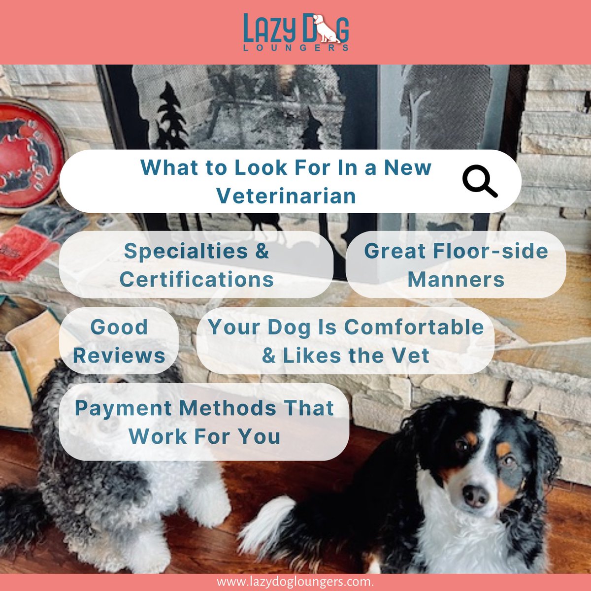 We salute all veterans and celebrate the human-animal bond. By choosing the right dog and creating a comfortable home environment, veterans and their furry companions can embark on a happy and fulfilling journey together!

#VeteransAndDogs #ServiceAnimals #FureverCompanions