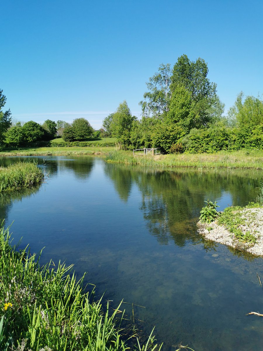 ZVisanji's tweet image. Great view today whilst showcasing the Road Pollution Solutions Tool at the  @CamelliaWater stakeholder meeting with @BritGeoSurvey.

@Thames21
#roadrunoffpollution #decisionsupporttool #watermanagement