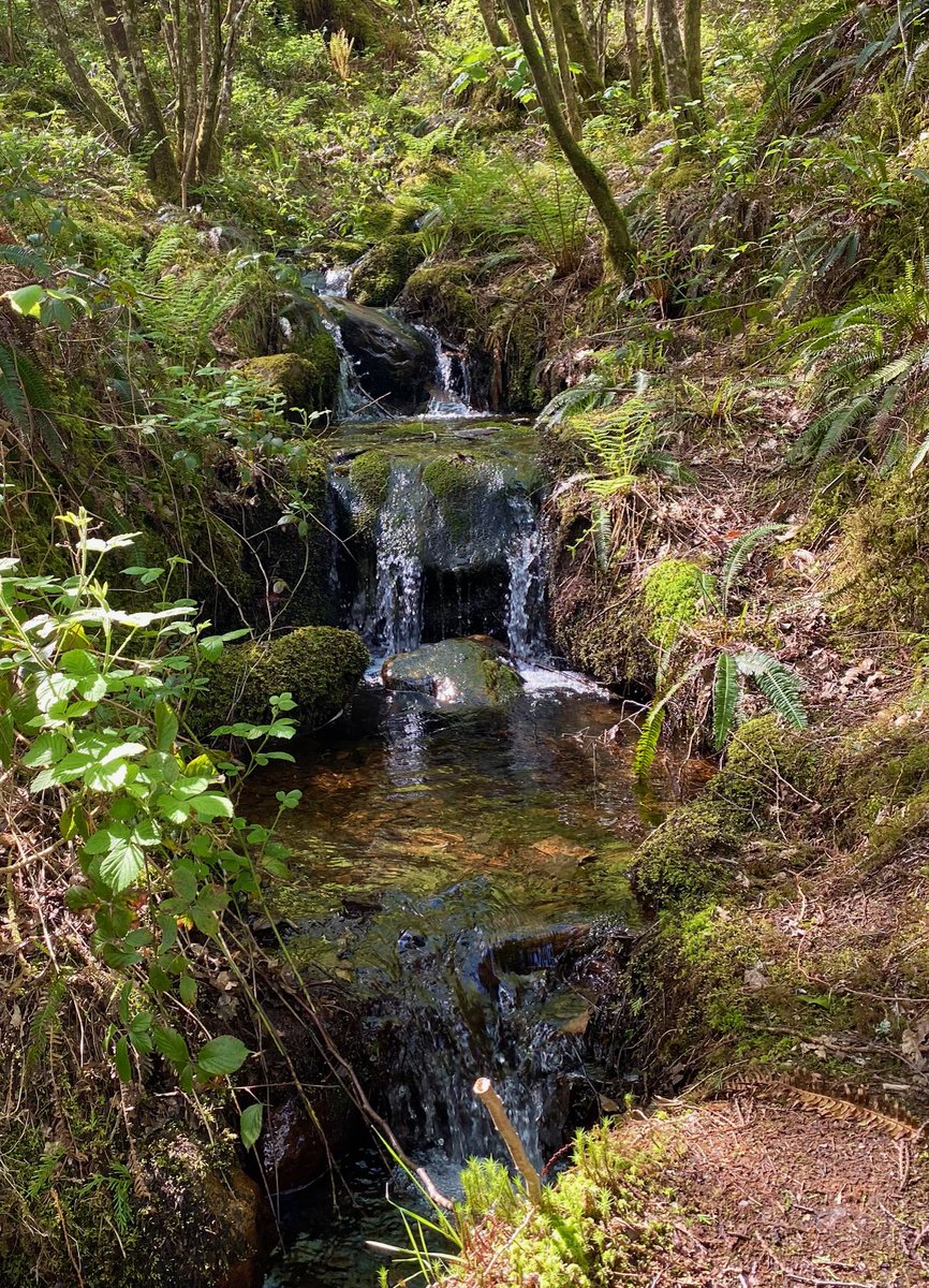 24/05 #BANKHOLIDAY 
🌿7 nights, £610,  S/catering,  just for two.
Enjoy the beautiful #nature/ #natur and countryside  of #Eryri (#Snowdonia). 
Croeso cynnes, dowch draw. Warm welcome.
📍1m Betws-y-coed   
The Studio: sawdays.co.uk/britain/wales/…   #Sawdaystravel
