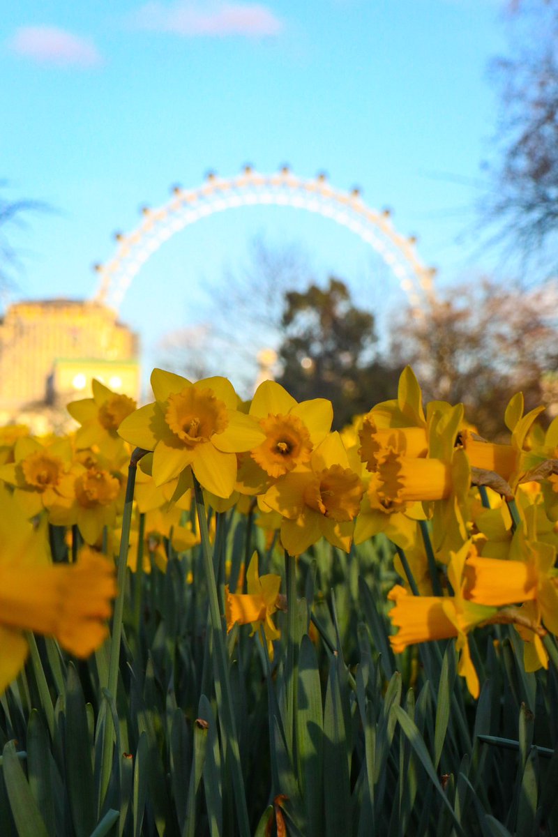 The sun is shining, who’s having lunch outside? It’s the perfect week to see the best views in London, especially with our new residents offer, 50% off for everyone living in a London postcode 🎟️ 📸 gary8345 via IG