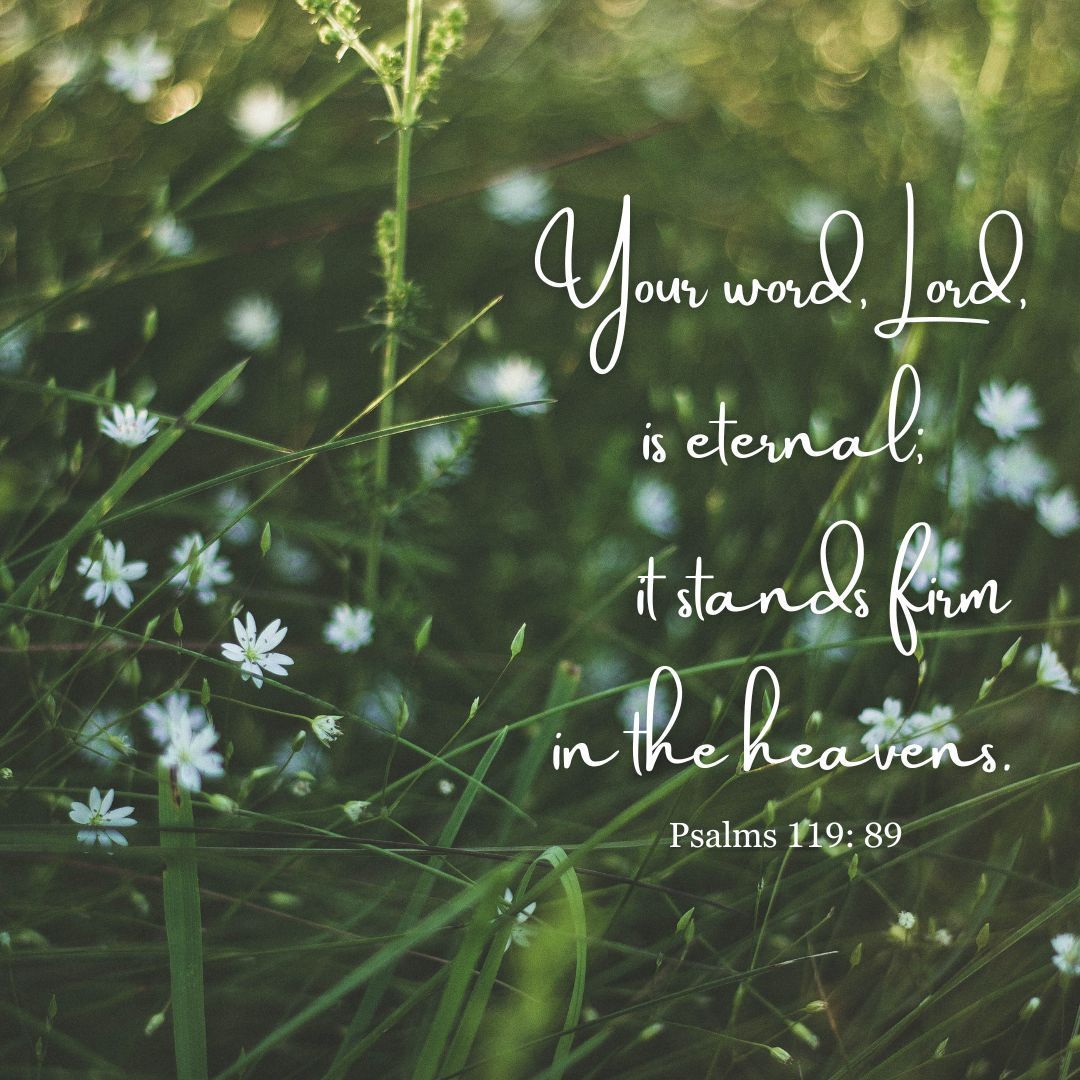 #WorldMissionSocietyChurchOfGod #WMSCOG #ChurchOfGod #GodsCreation #COG #Bibleverse #Bible #Truth #Faith #Hope #Love #GodTheFather #GodTheMother