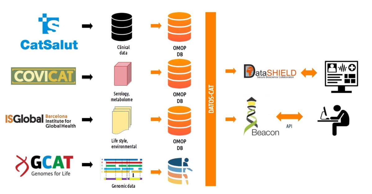 🚀Important milestone achieved in DATOS-CAT: new tools for data characterization and standardization

🎯The project enhance the visibility and scientific impact of population-based cohorts from Catalonia

📎cnag.eu/news/datos-cat…

#CNAG #BiomedicalData #PersonalizedMedicine